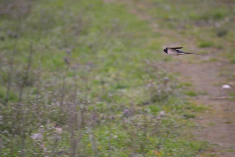 DSC_1192.jpg